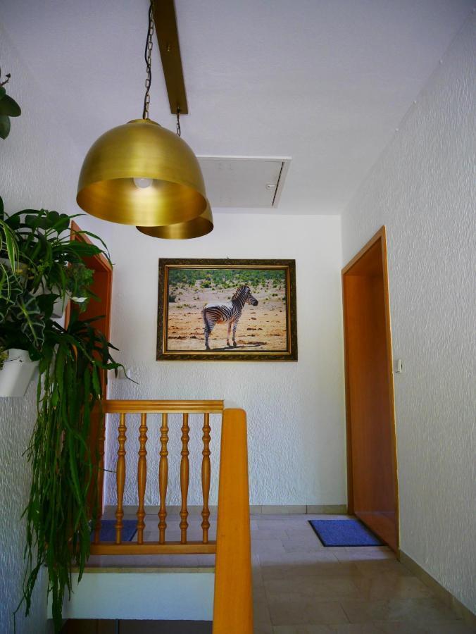 Ferienwohnung Eichkatzel Zell Ngoại thất bức ảnh