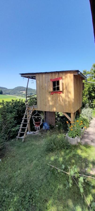 Ferienwohnung Eichkatzel Zell Ngoại thất bức ảnh